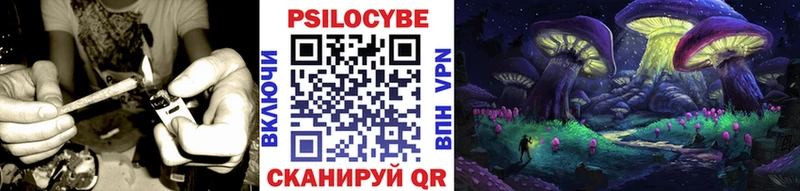 мориарти телеграм  Нелидово  Псилоцибиновые грибы Magic Shrooms  где купить  